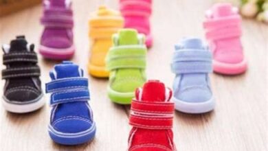 Dört Mevsim İçin Uygun Mule Ayakkabı Modelleri - Zarif Adımlar Dört Mevsim İçin Uygun Mule Ayakkabı Modelleri