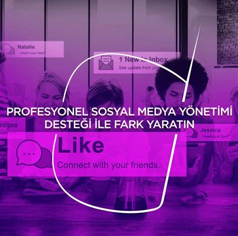 Kadın Mule Ayakkabı Modelleri ile Fark Yaratın