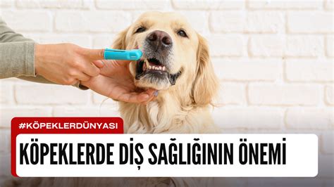 Mule Ayakkabılar ve Sağlık: Dikkat Edilmesi Gerekenler ve Hakiki Derinin Önemi