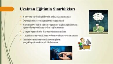 Mule Ayakkabıların Avantajları ve Dezavantajları - Zarif Adımlar Mule Ayakkabıların Avantajları ve Dezavantajları