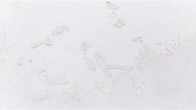 Abiye Ayakkabı Markaları Hakkında Her Şey - Zarif Adımlar Abiye Ayakkabı Markaları Hakkında Her Şey